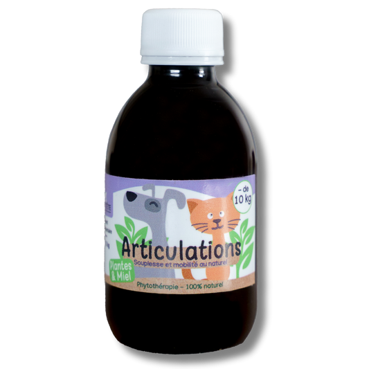 Sirop naturel Articulation 200mL – Chiens et Chats de -10kG-0